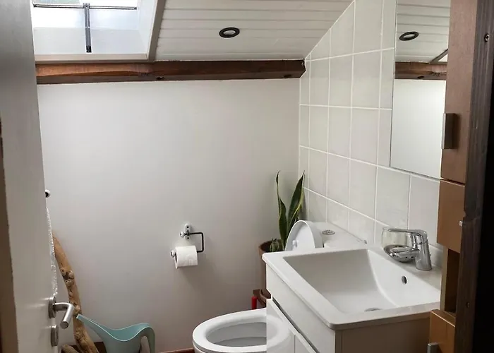 Charming Family In Graca 公寓 *